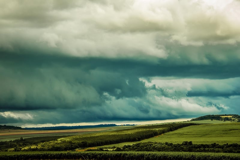 Temporal Enthusiasts